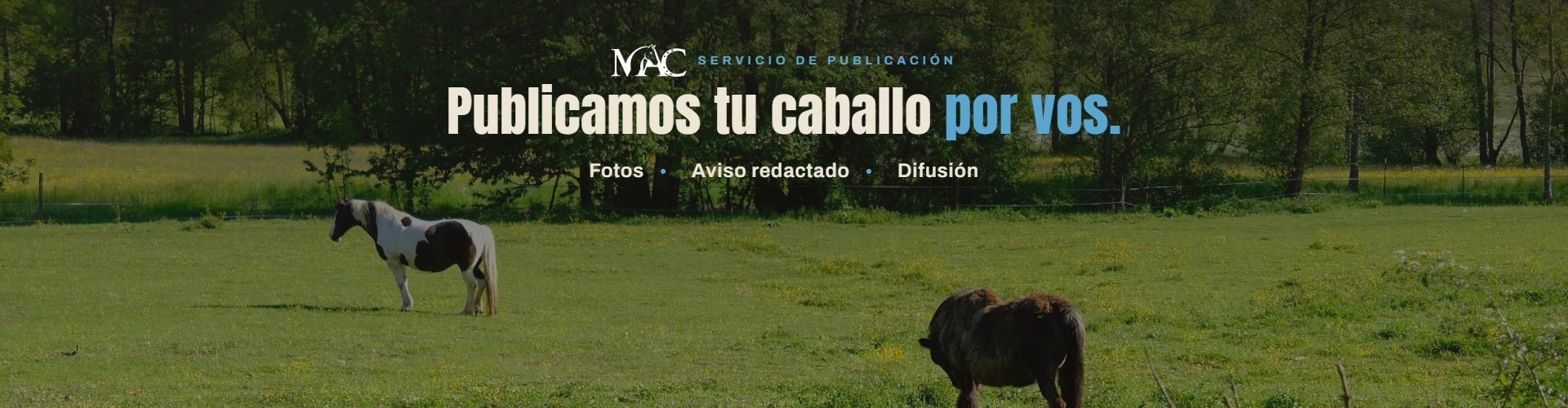 Publicamos por vos 2