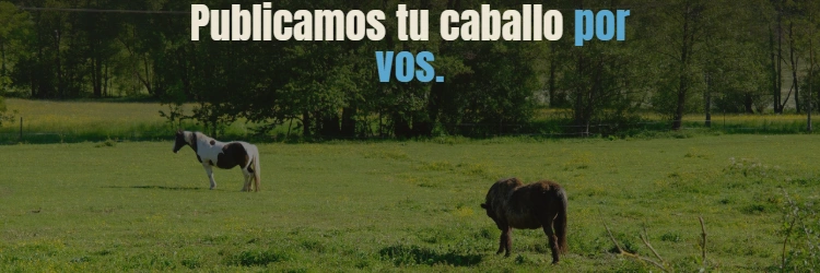 Publicamos por vos 2