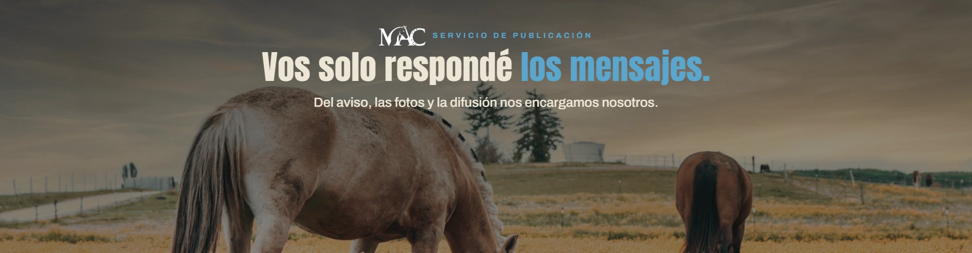 Publicamos por vos 3
