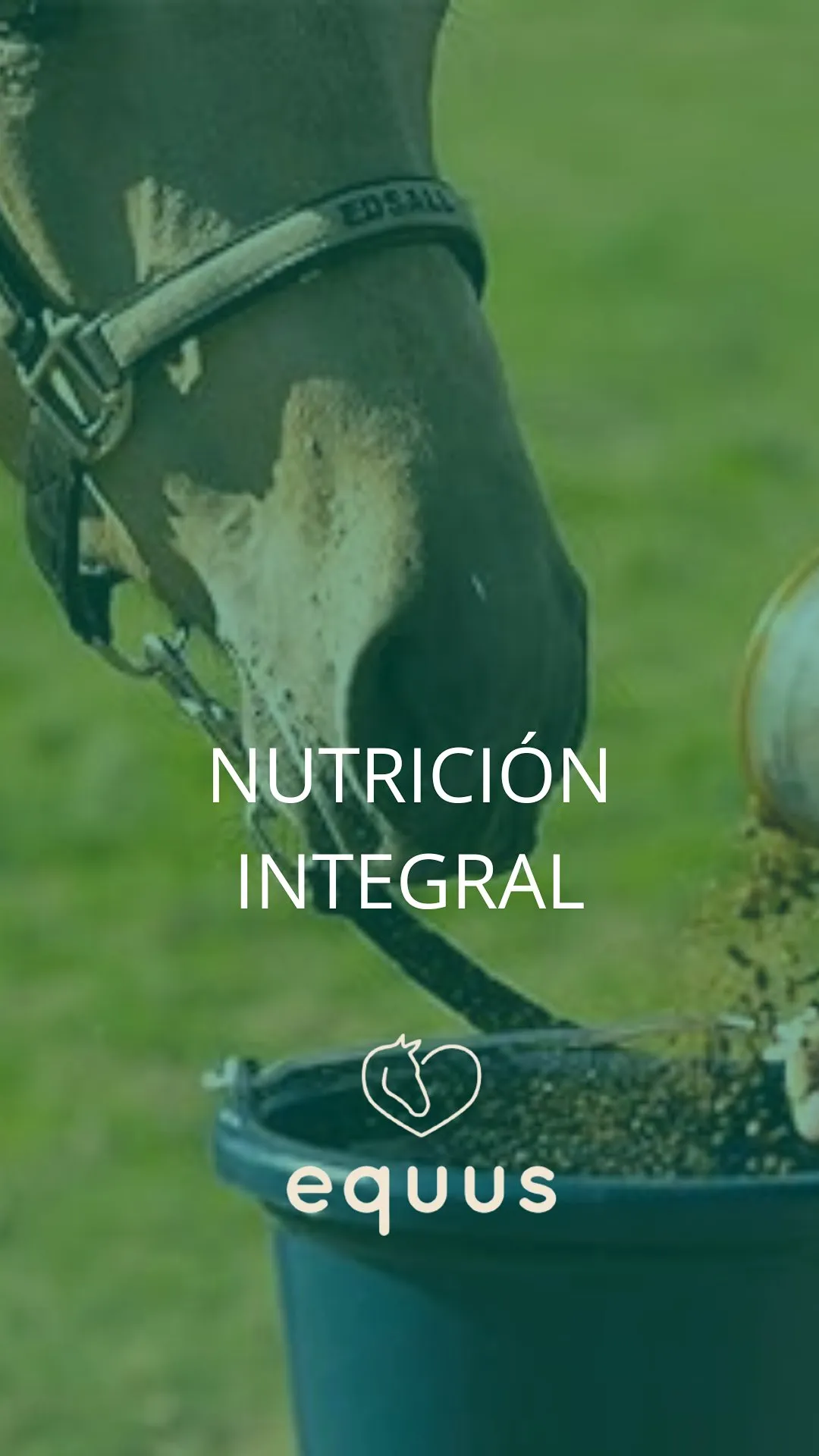 Equus Ciencia - Imagen 2