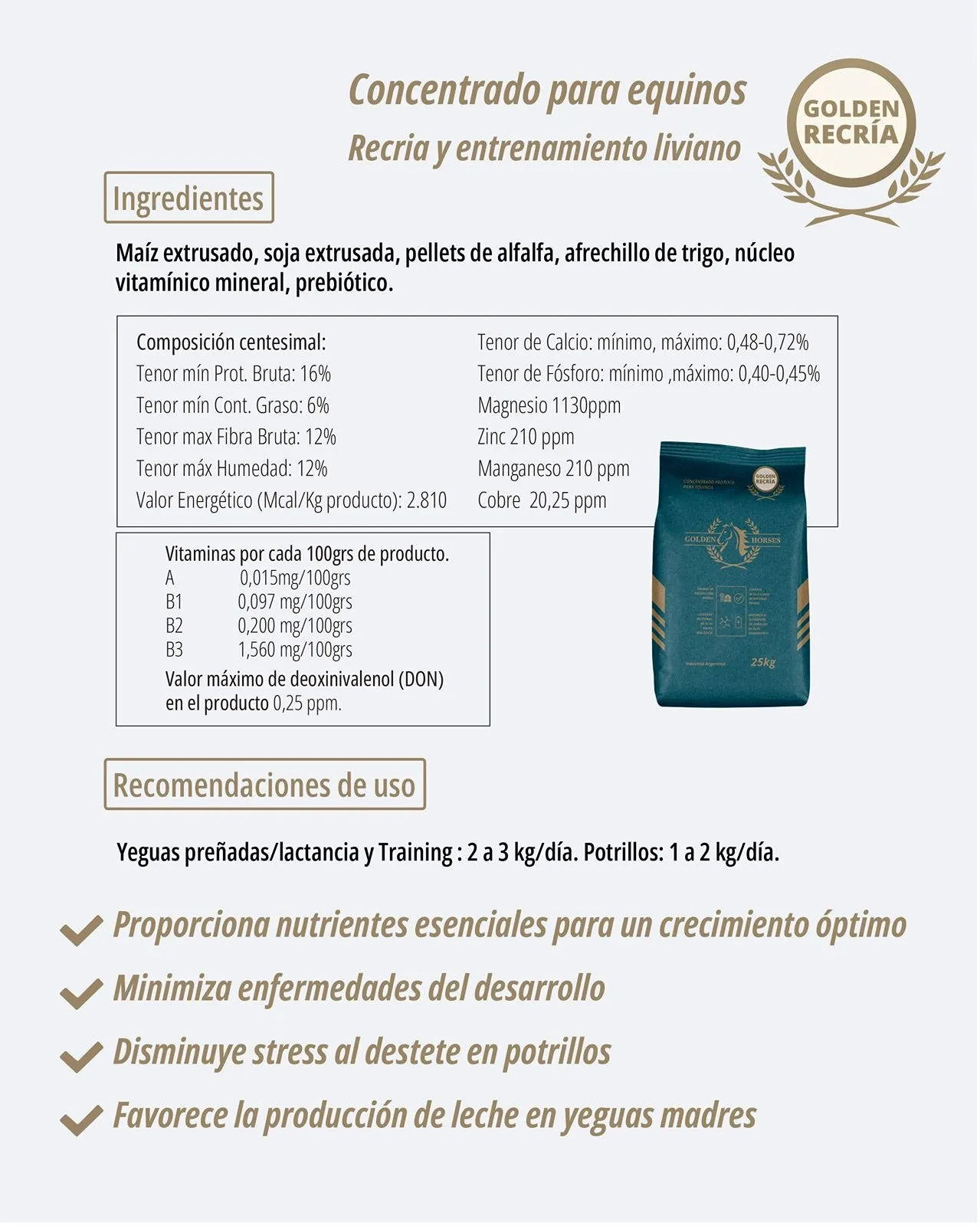 Golden Horses - Imagen 4