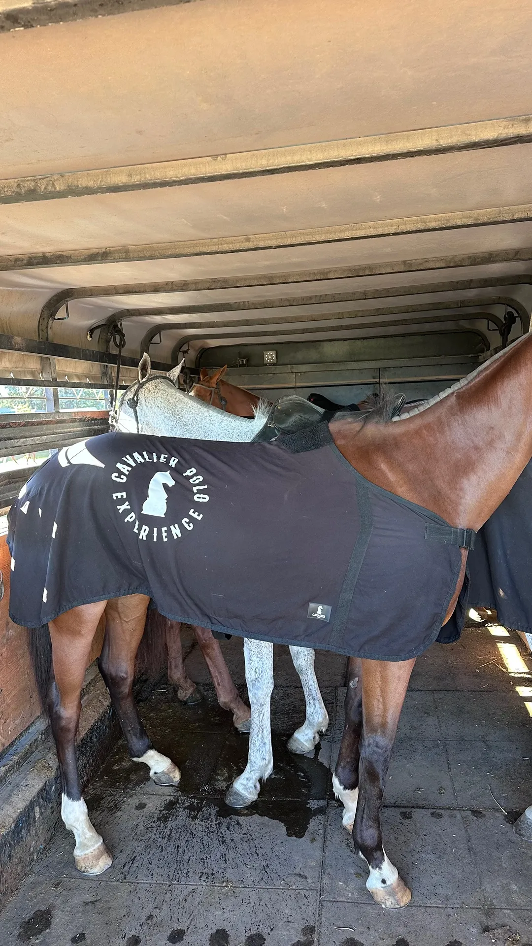 Facundo Bustos - Imagen 2