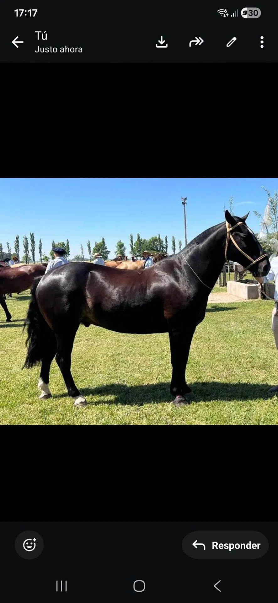 Cruz diablo el lucero - Imagen 1