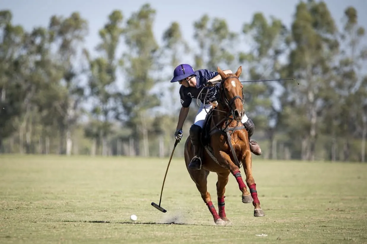 MP Colibri - Imagen 2