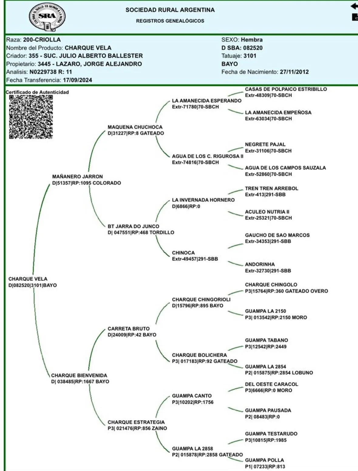 Charque Vela (Ballester) - Imagen 4