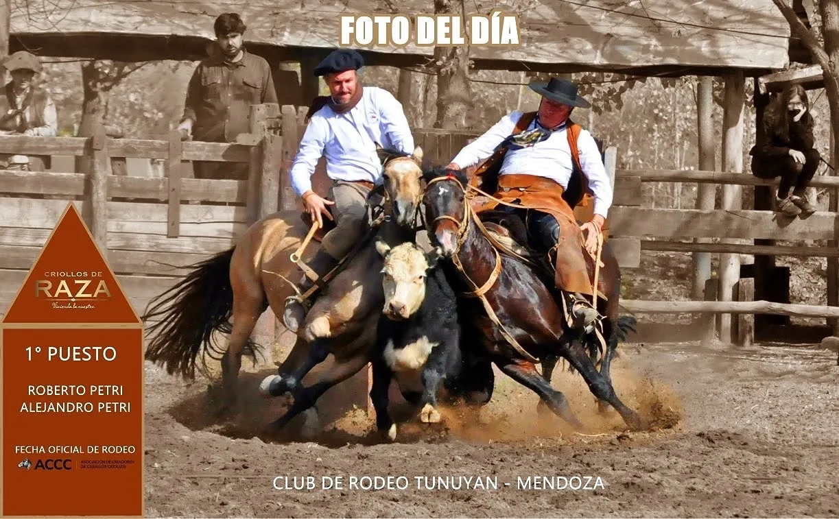 Jarrillal Cuartetera