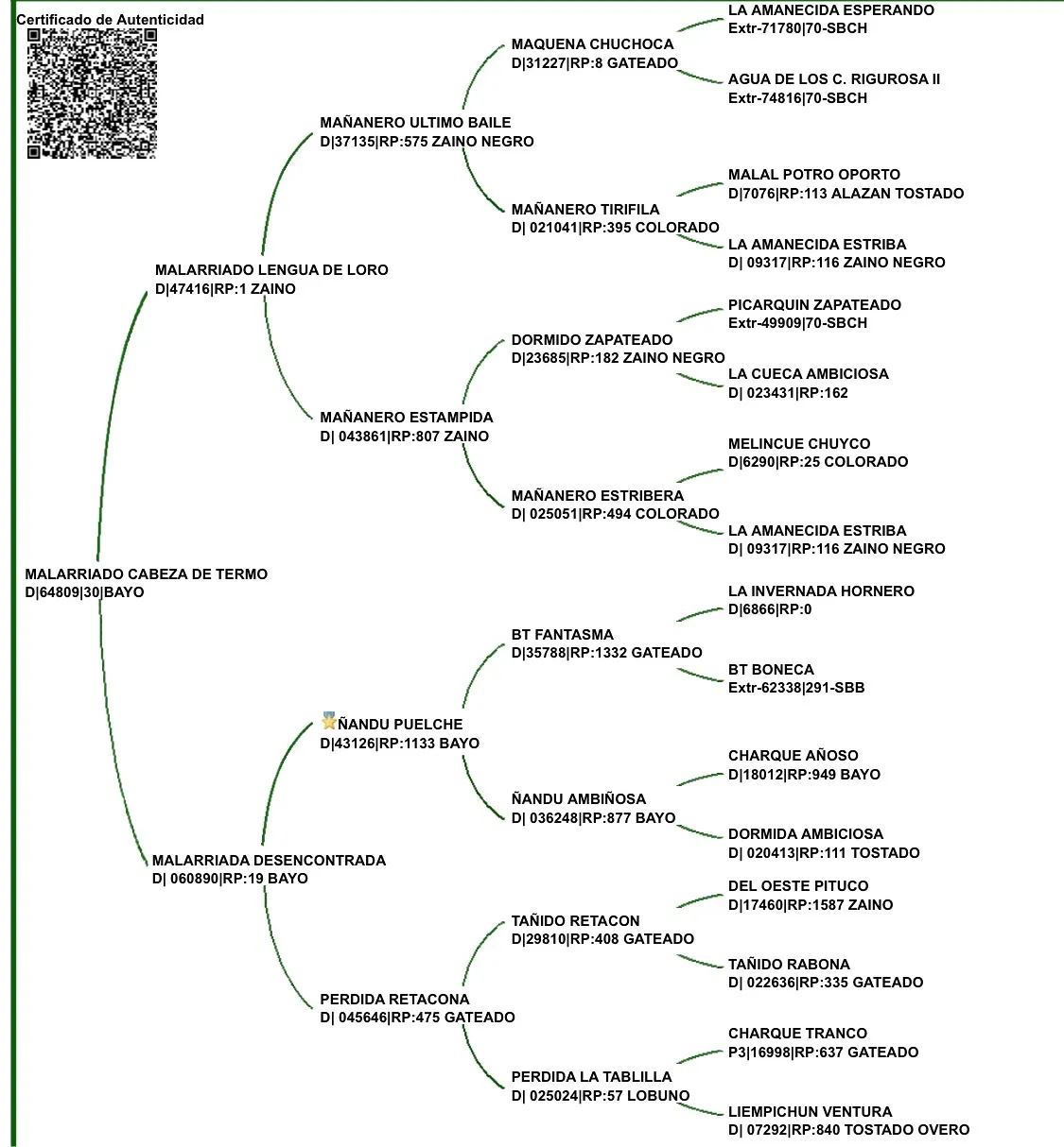 Gran Hachete Murga - Imagen 5