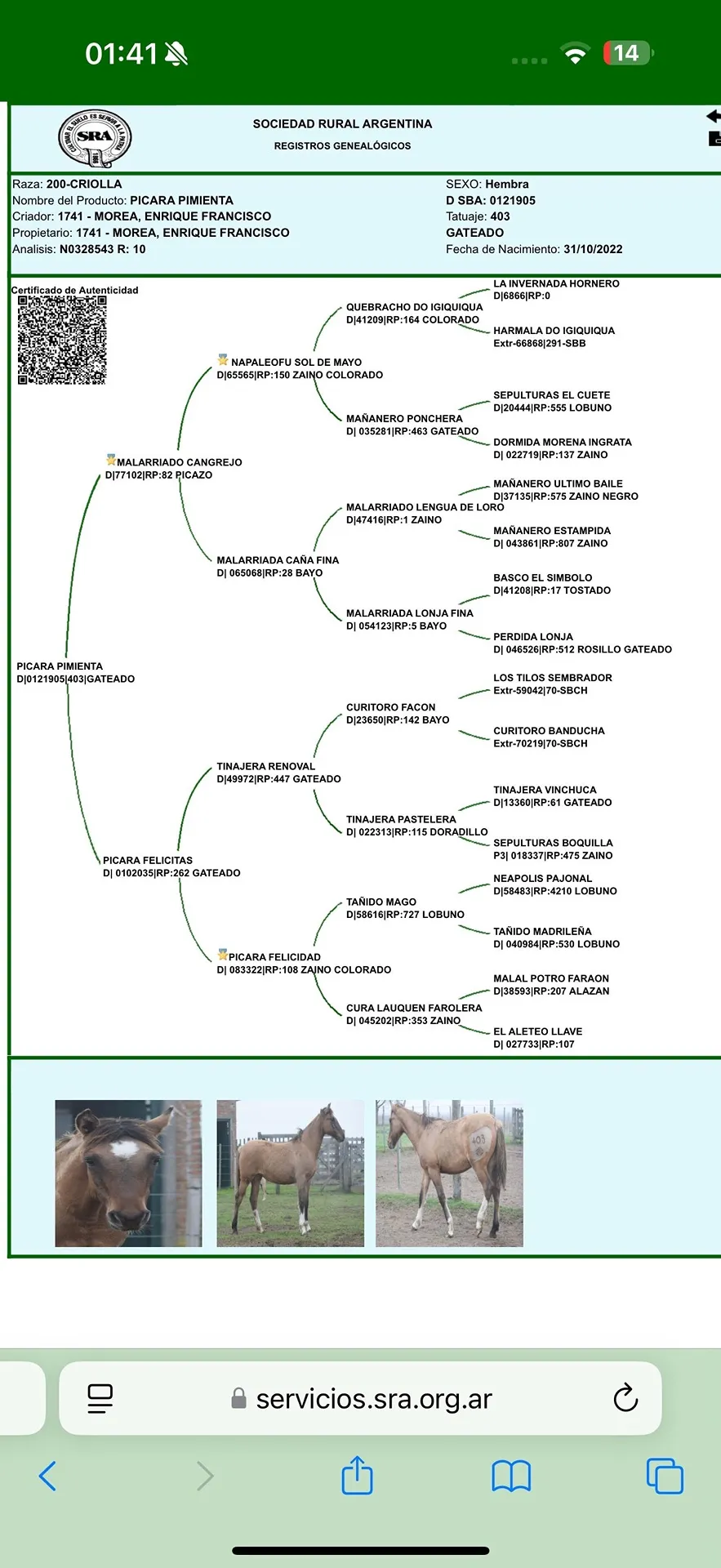 Pícara Pimienta  - Imagen 2