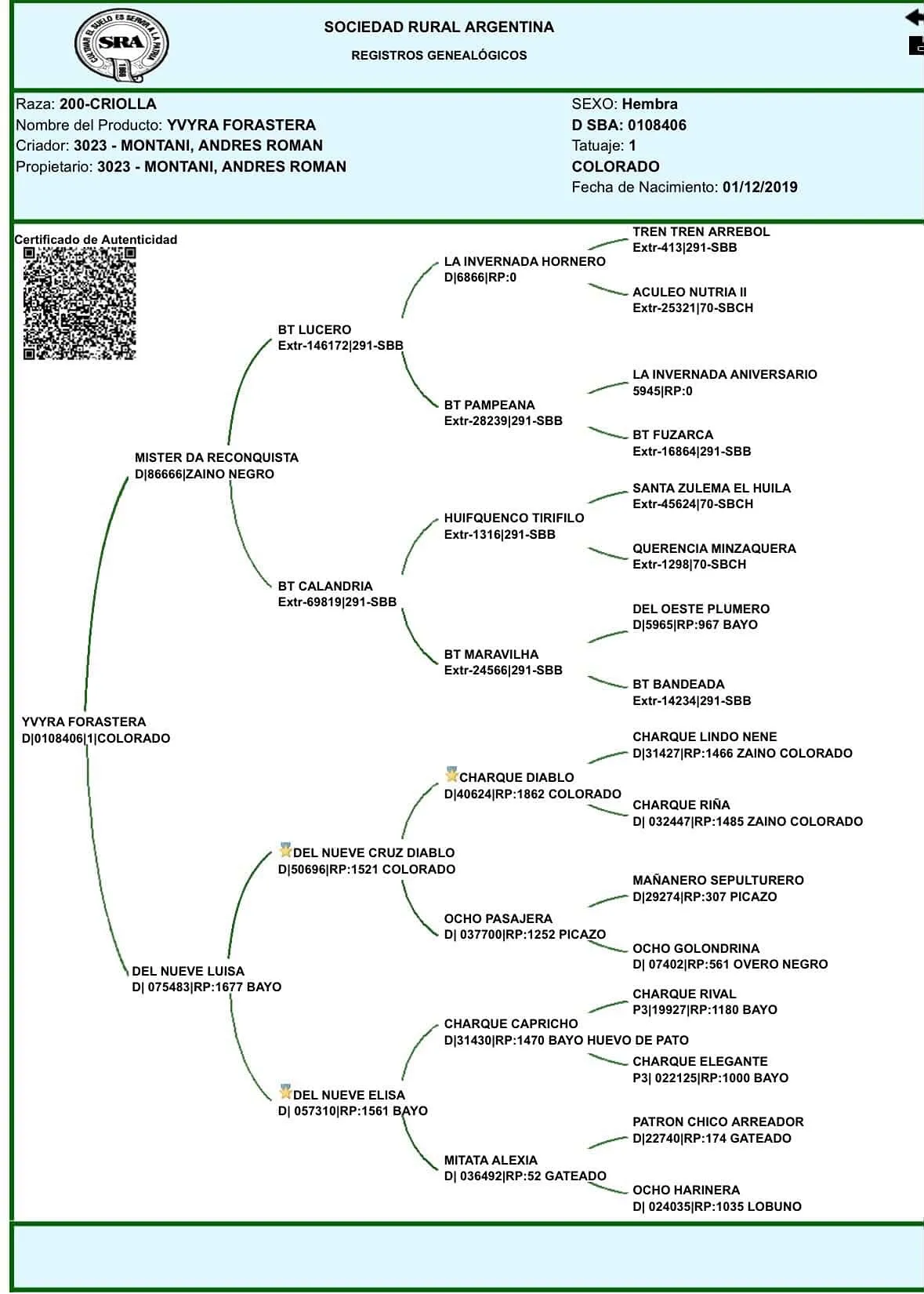 Yvyra Forastera - Imagen 4