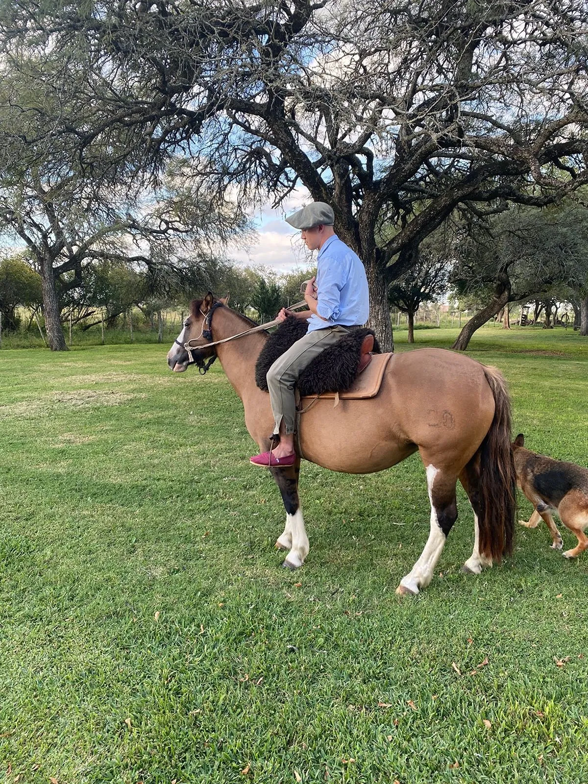 Ahijunda Guinda - Imagen 2