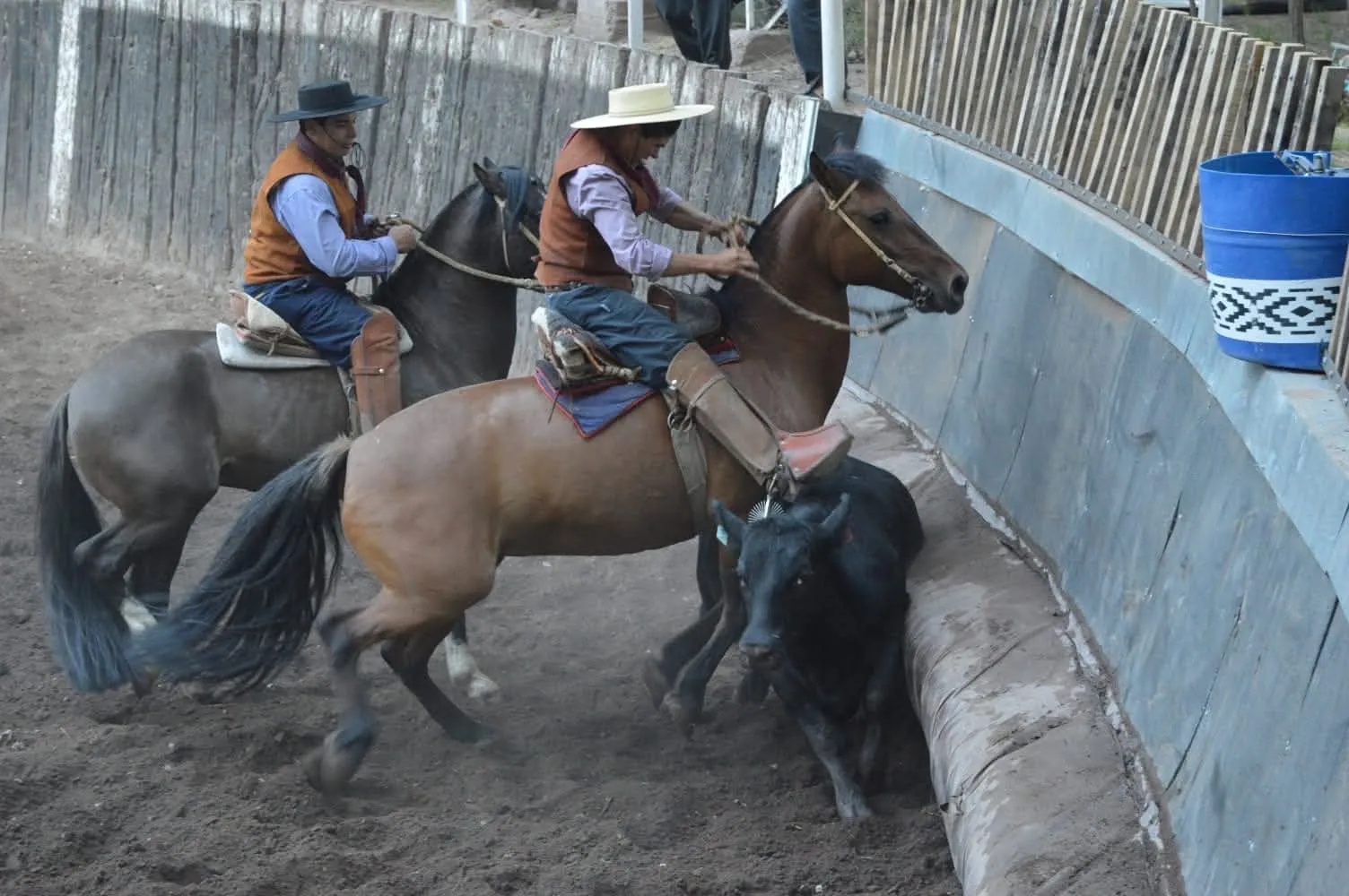 Jarrillal Cuartetera - Imagen 2