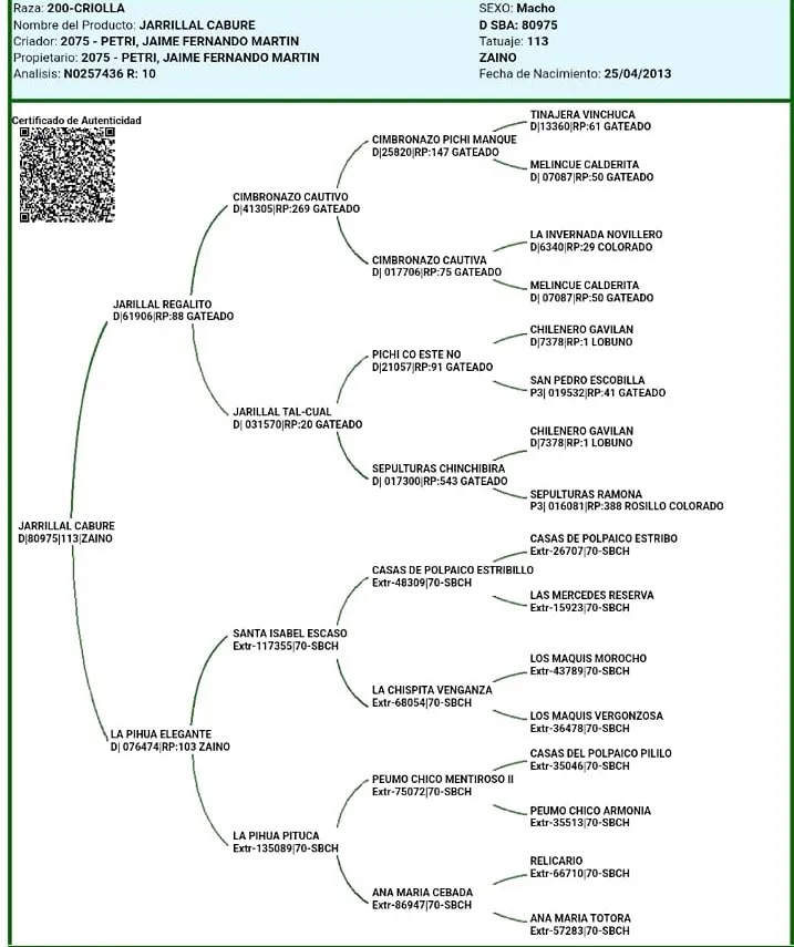 Jarrillal Cuartetera - Imagen 4