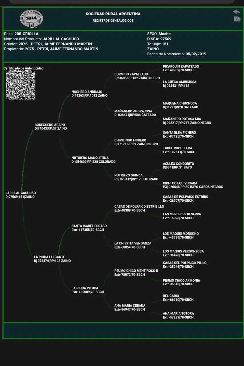 Jarrillal Cachuso - Imagen 3