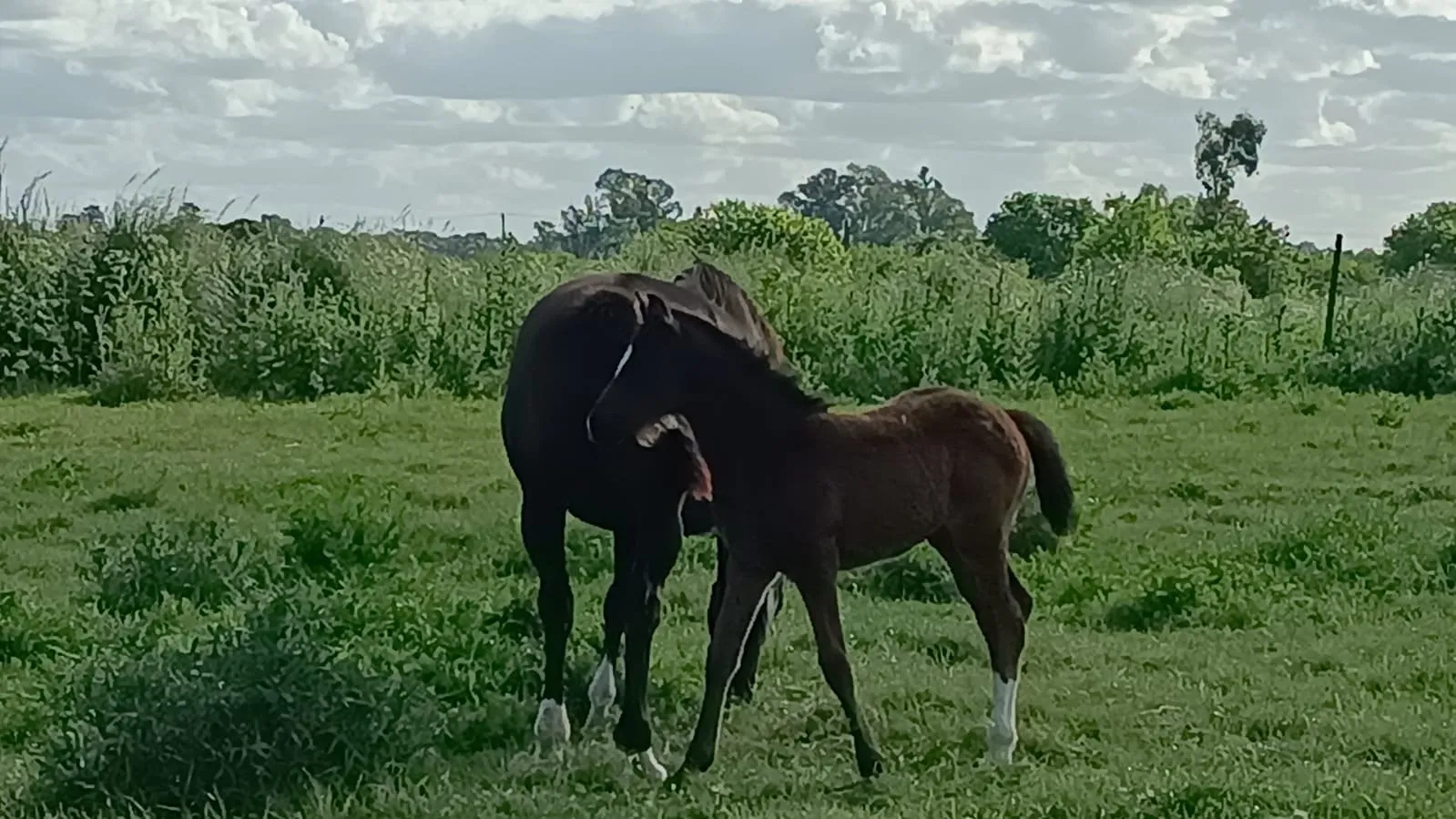 Sin nombre - Imagen 1