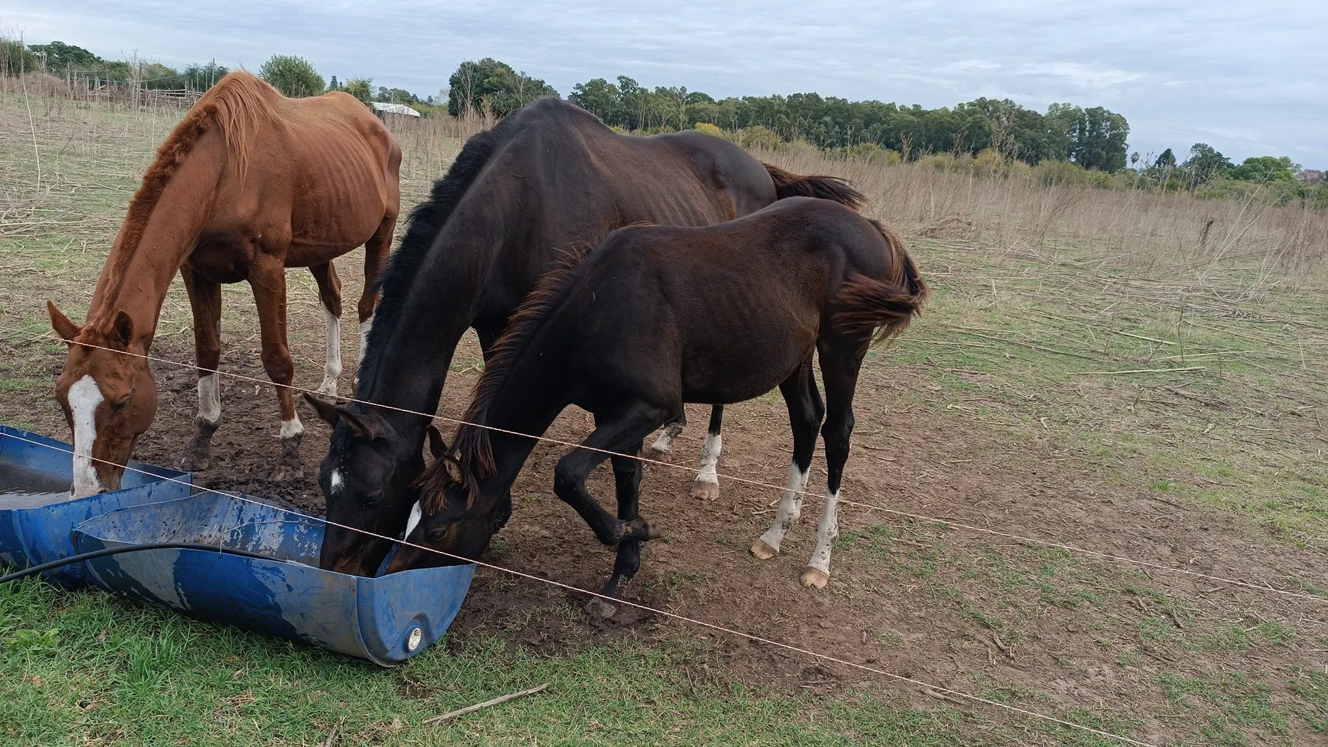 Sin nombre - Imagen 2