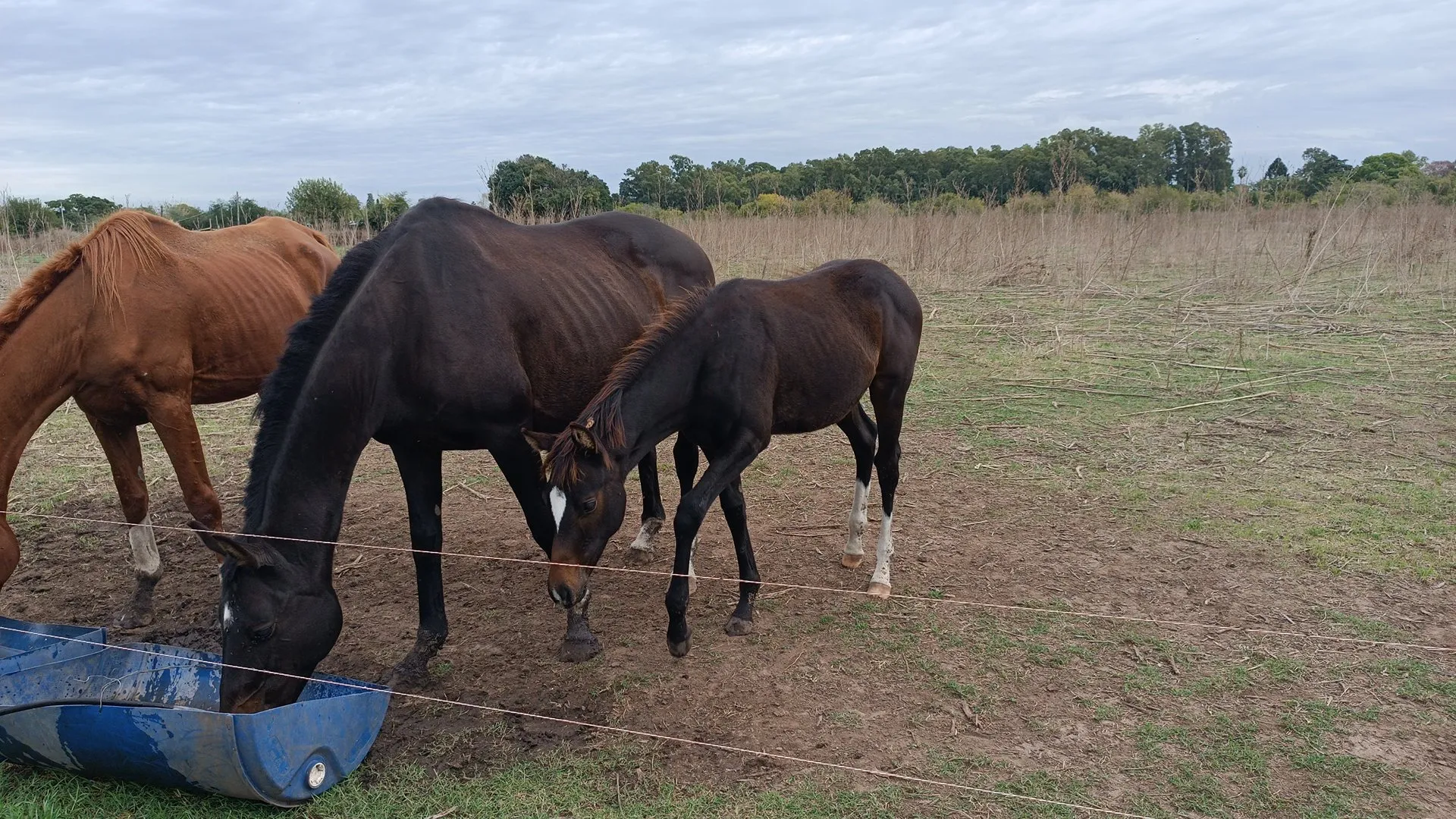 Sin nombre - Imagen 3