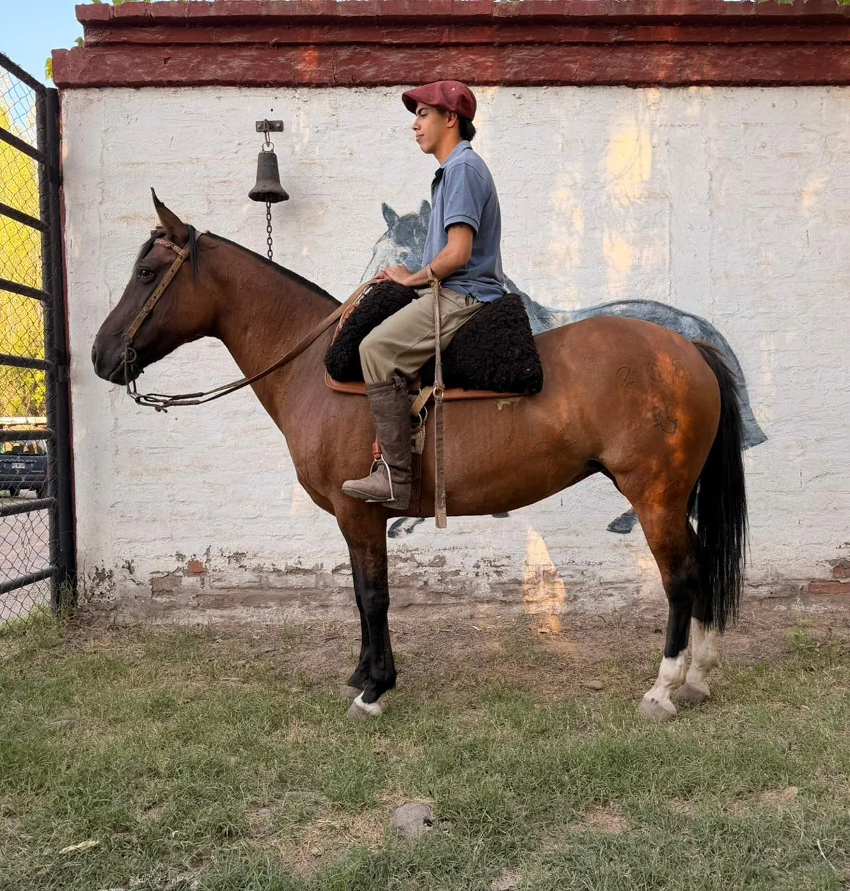 Cruz diablo la Banderita 