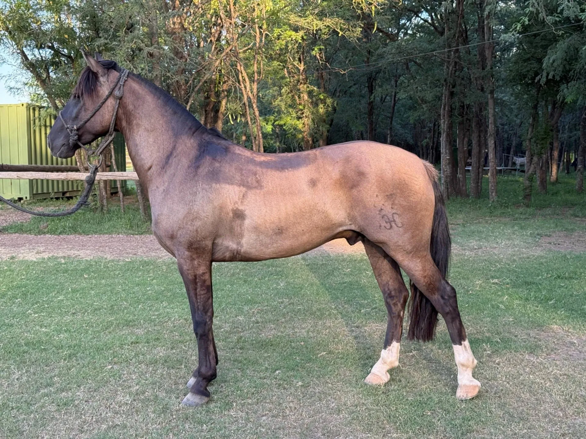 SAN ESTEBAN CHAMBERGO 