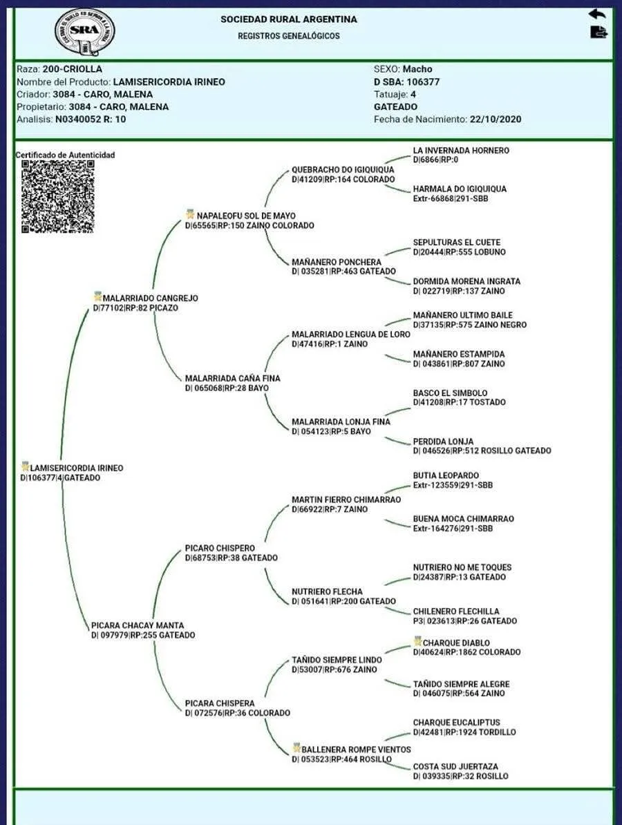 LAMISERICORDIA IRINEO  - Imagen 3