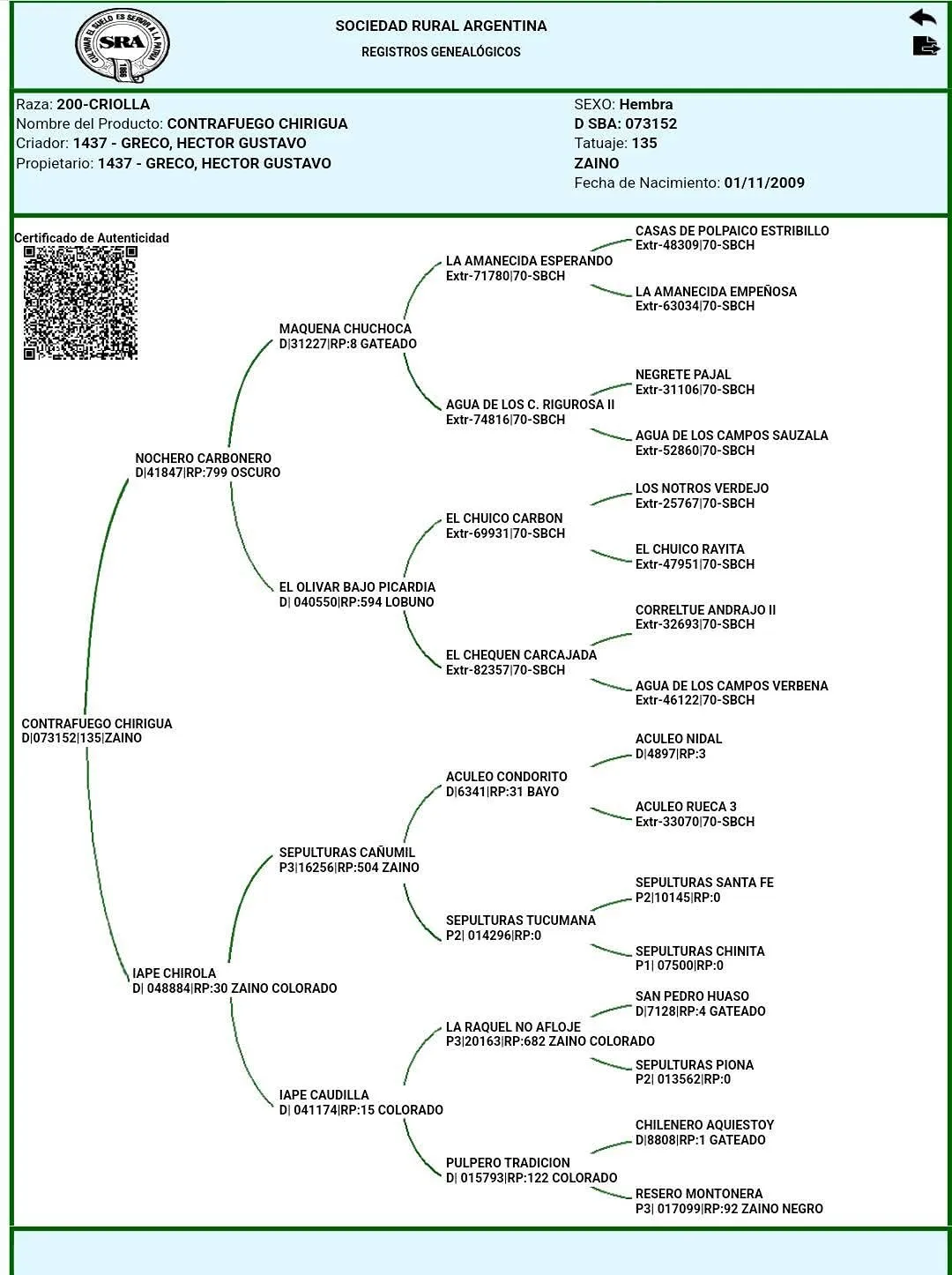 Contrafuego chirigua - Imagen 6
