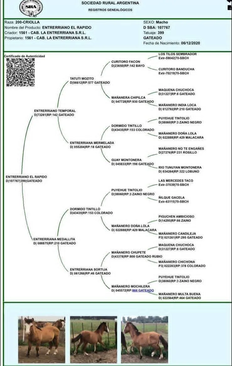 ENTRERRIANO EL RÁPIDO  - Imagen 3