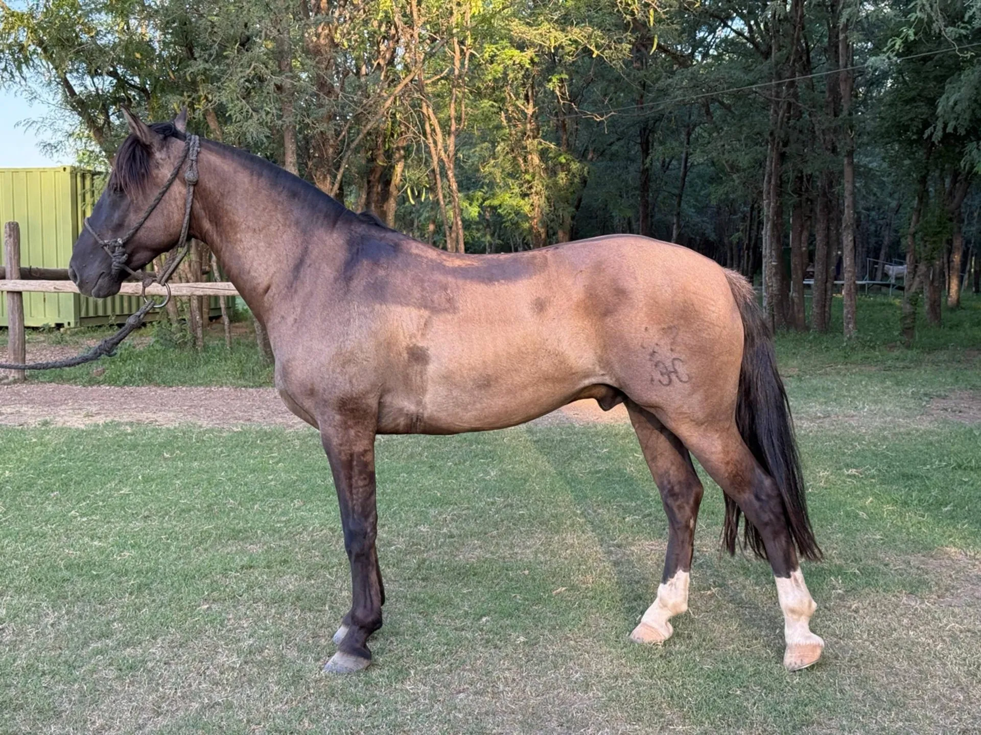 SAN ESTEBAN CHAMBERGO  - Imagen 2