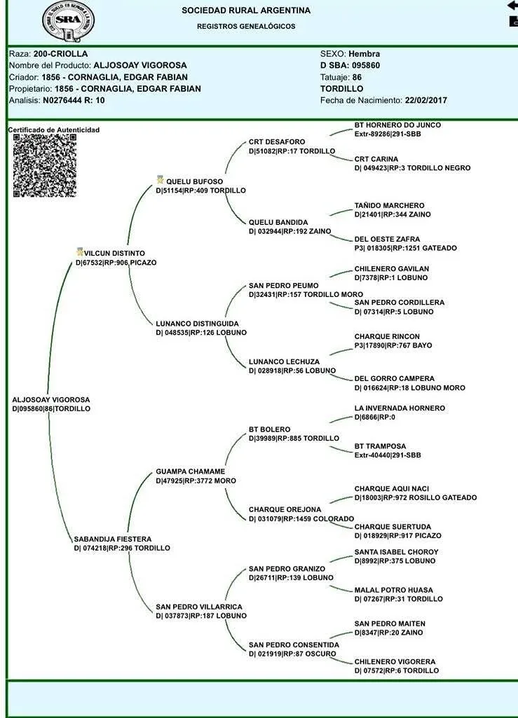 ALJOSOAY VIGOROSA - Imagen 3