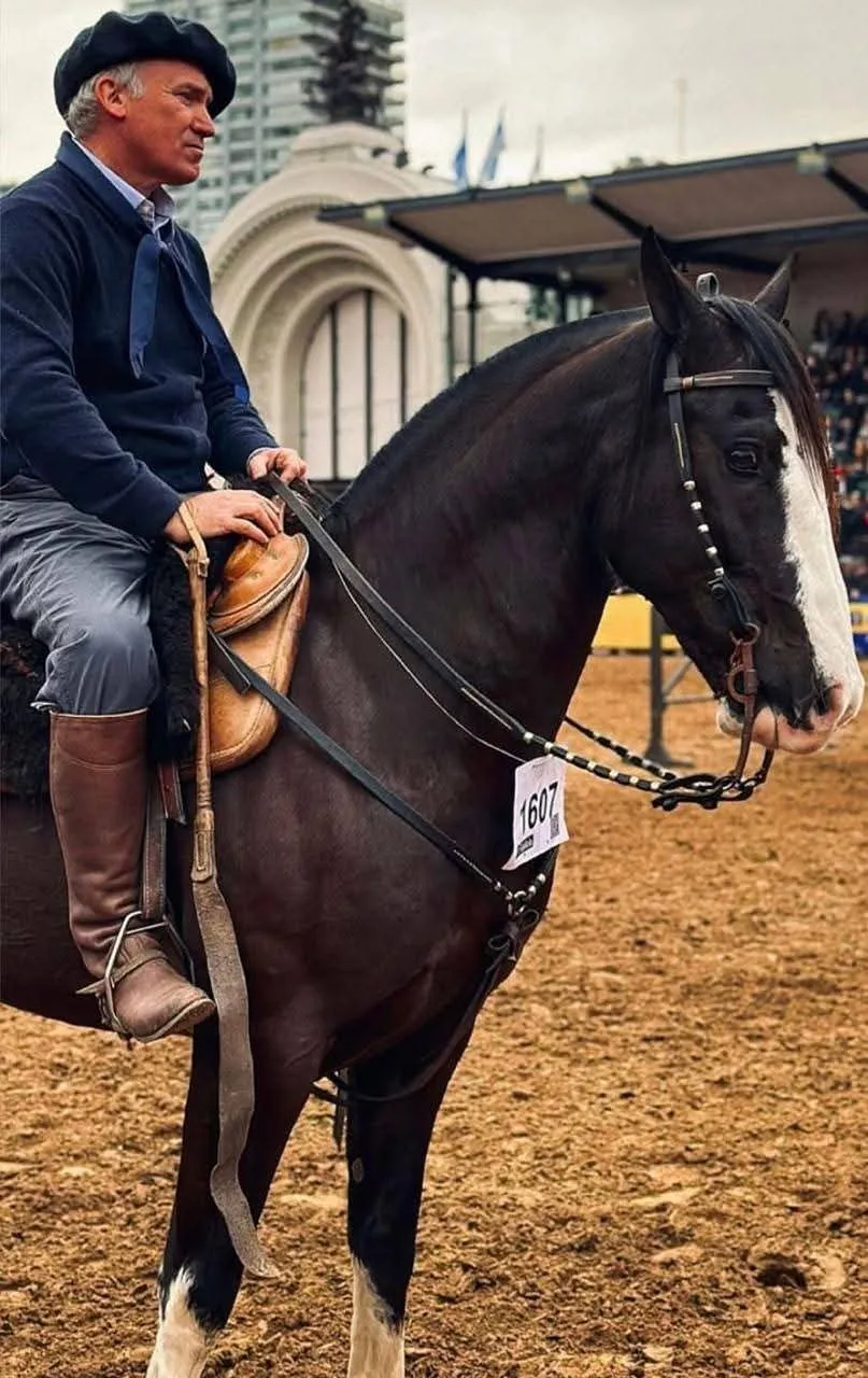 TOTONE GLADIADOR  - Imagen 2