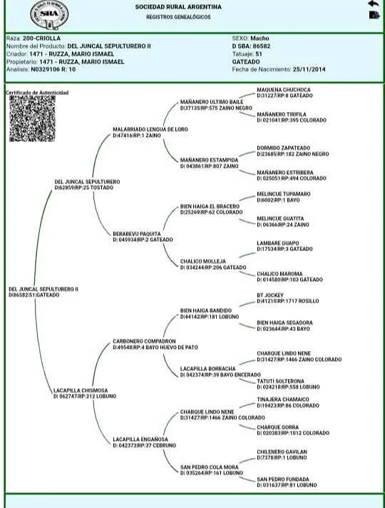 DEL JUNCAL SEPULTURERO  - Imagen 3