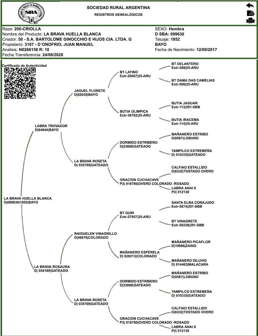 LA BRAVA HUELLA BLANCA  - Imagen 2