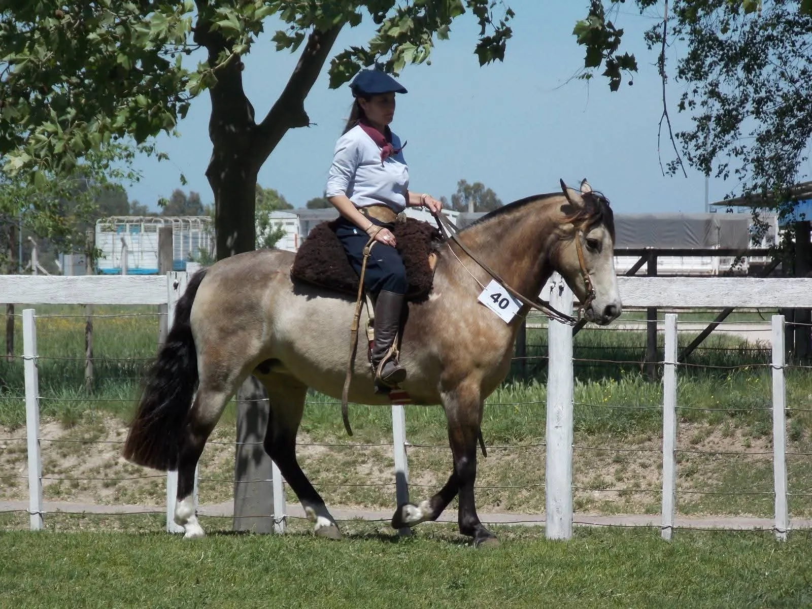 CINCO-AR EMBRUJADA  - Imagen 2