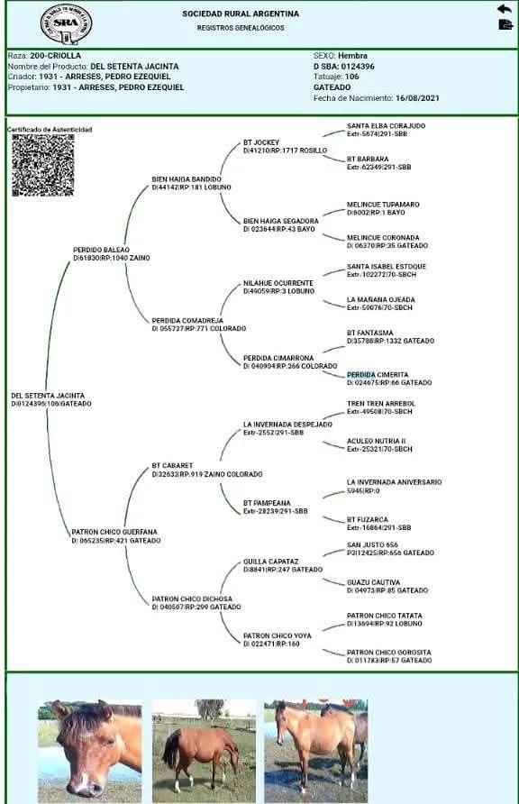 DEL SETENTA JACINTA - Imagen 4