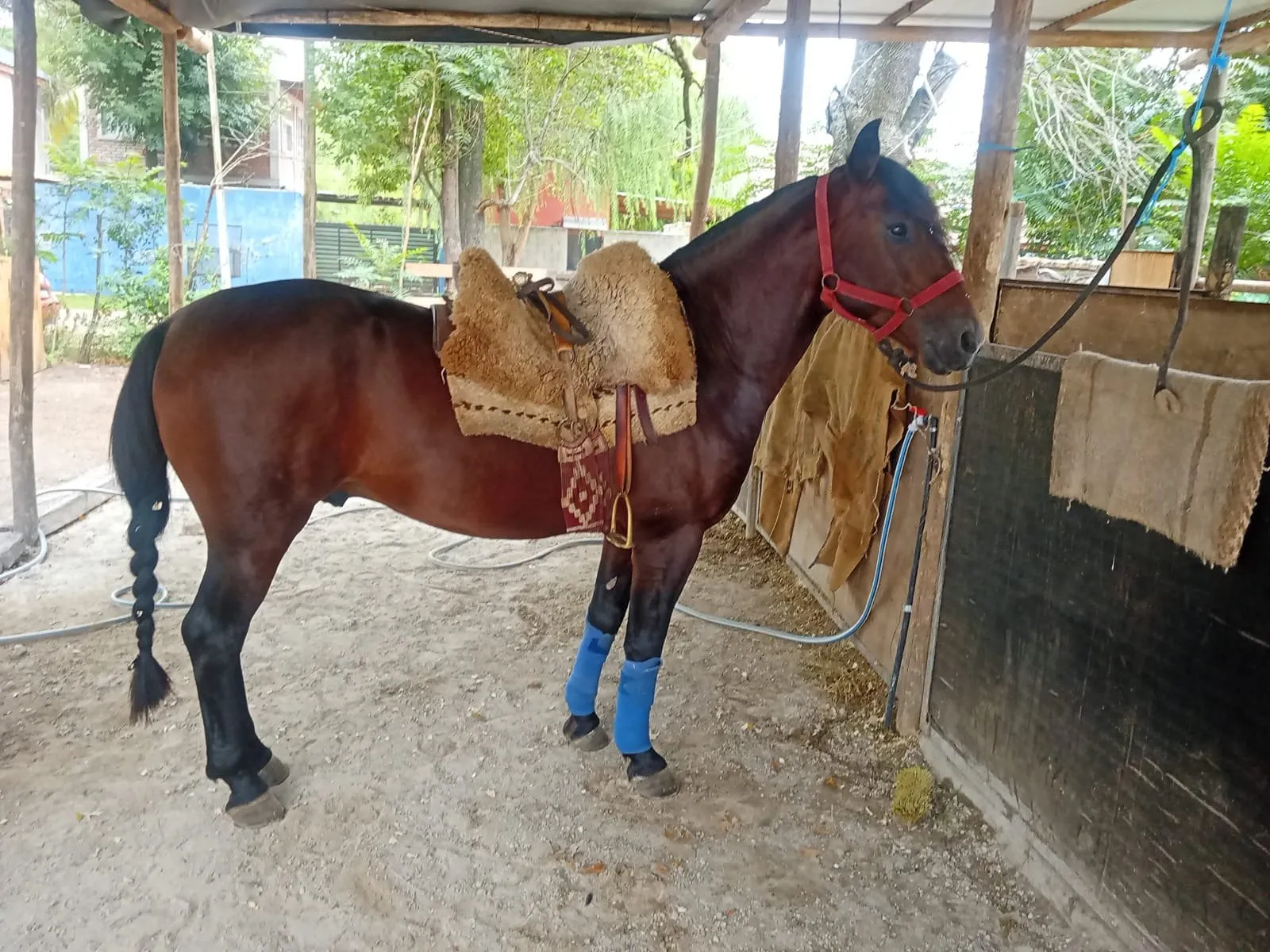 ESTERO LEGÍTIMO  - Imagen 2