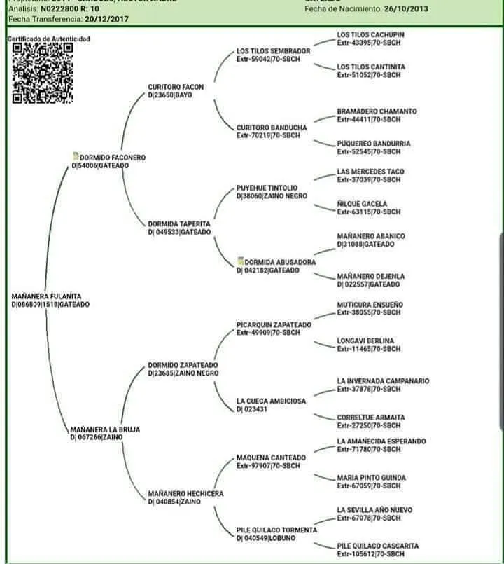 MAÑANERO FULANITA - Imagen 5