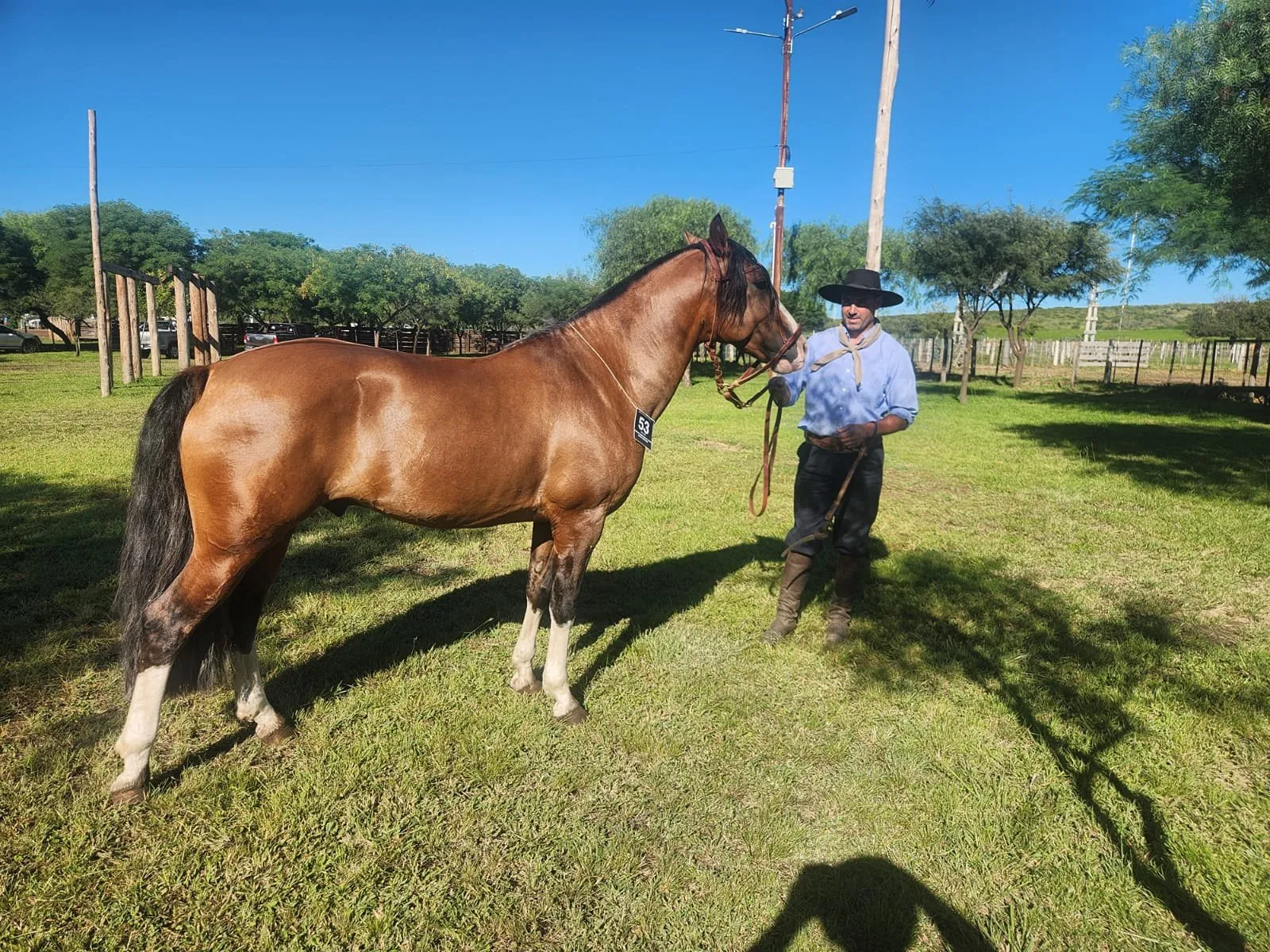 FOGATA LACAYO - Imagen 2