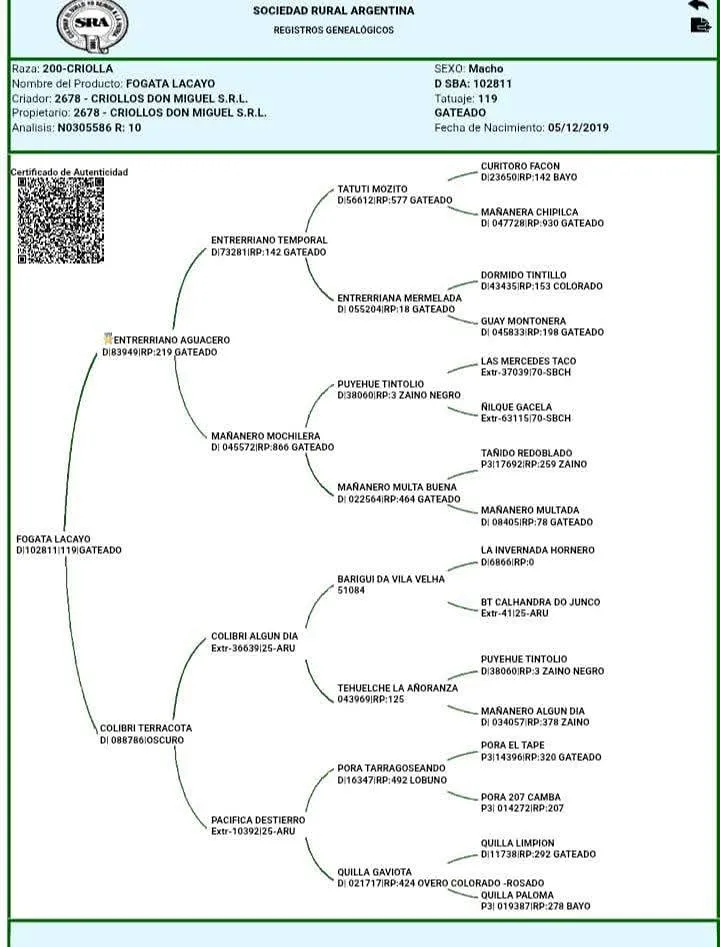 FOGATA LACAYO - Imagen 6