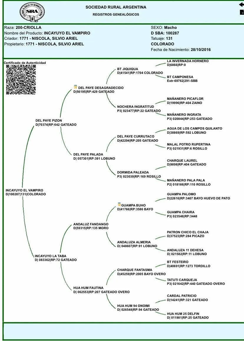 INCAYUYO VAMPIRO  - Imagen 5