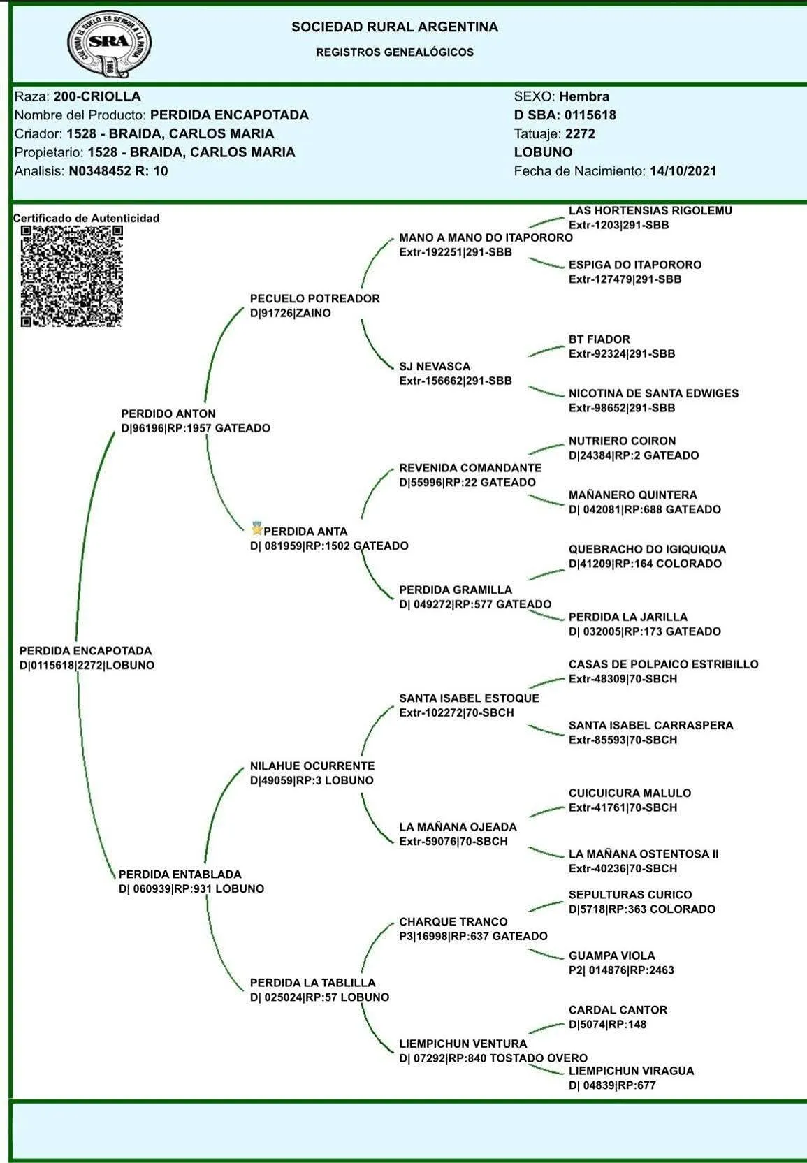 PERDIDA ENCAPOTADA - Imagen 3