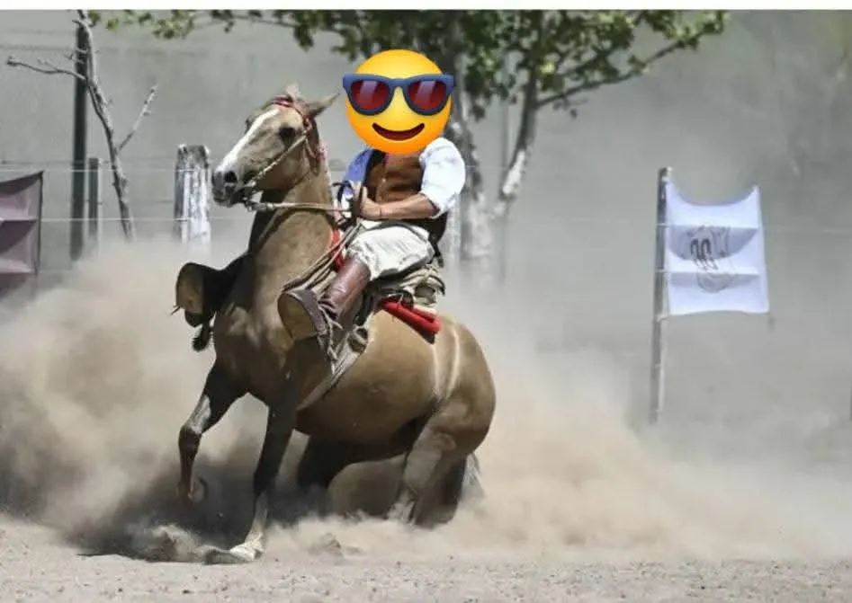 CAÑUMIL CORNELIA  - Imagen 7