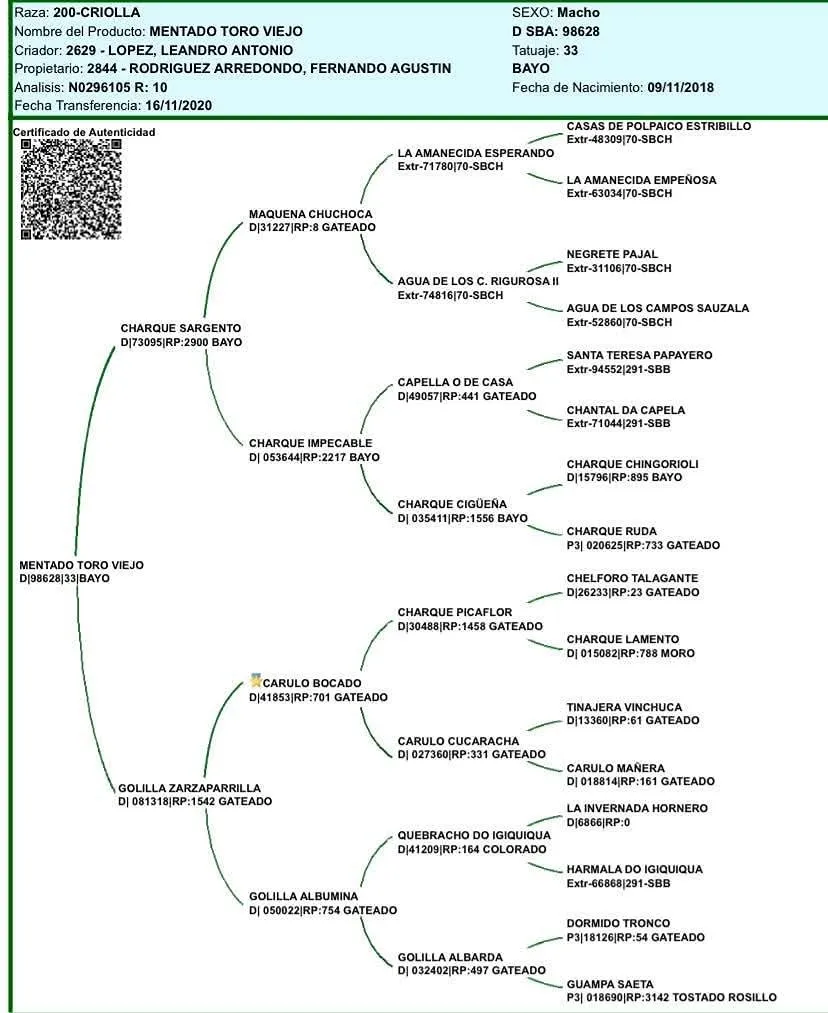 MENTADO TORO VIEJO - Imagen 7