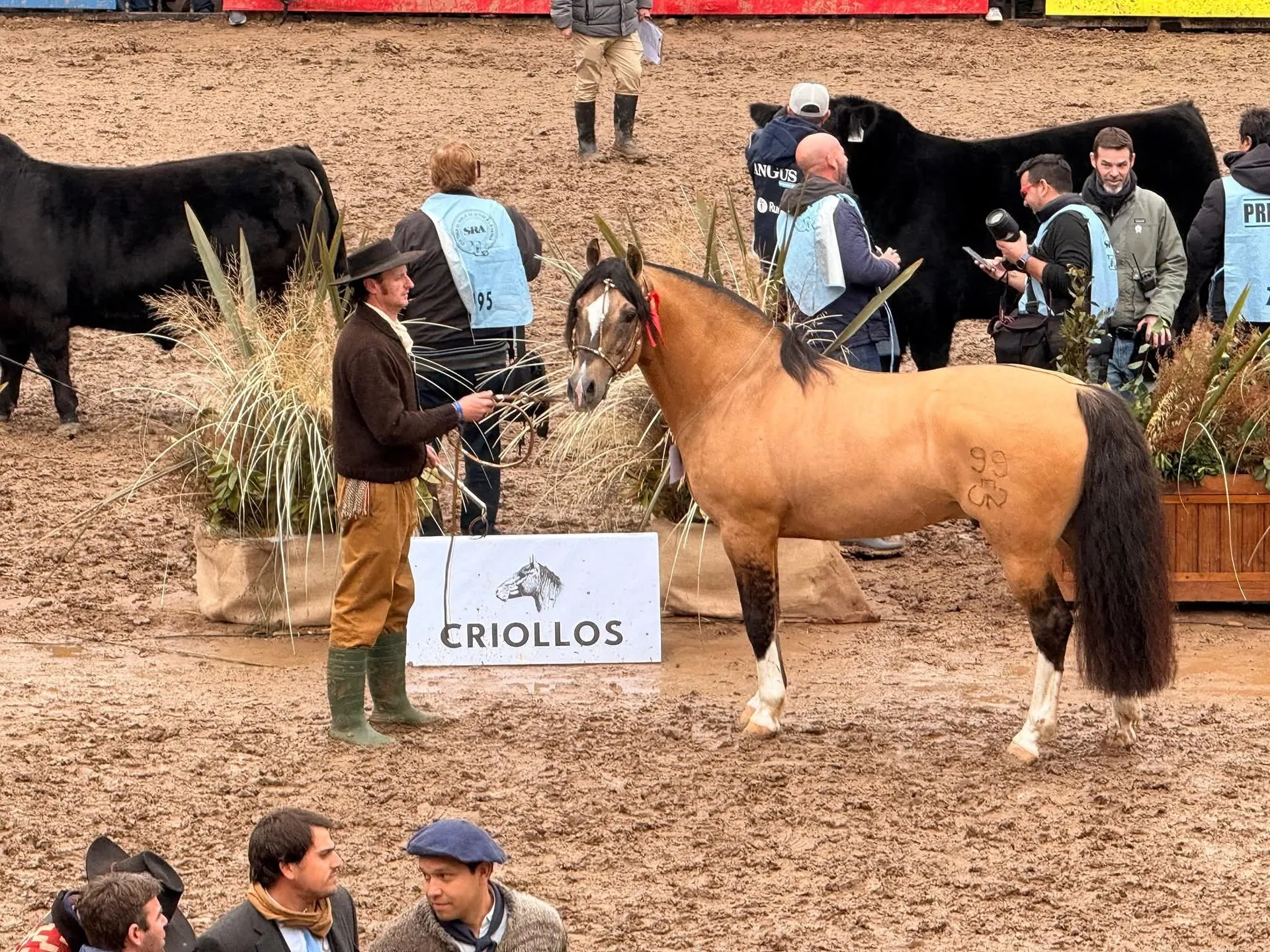 CHURRINCHE DON ANTONIO 99 - Imagen 2