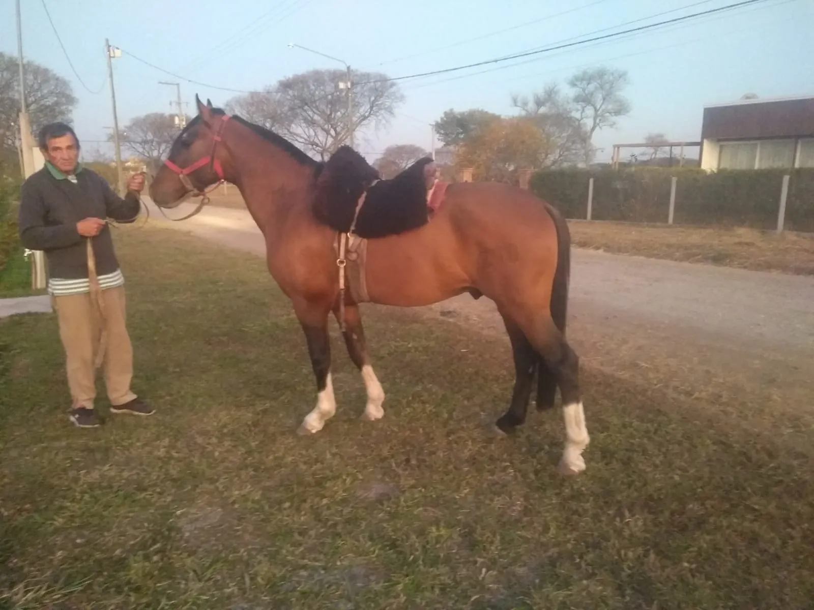 CAÑUMIL ISIDORO - Imagen 2