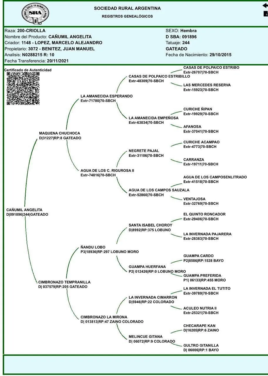 CAÑUMIL ANGELITA  - Imagen 3
