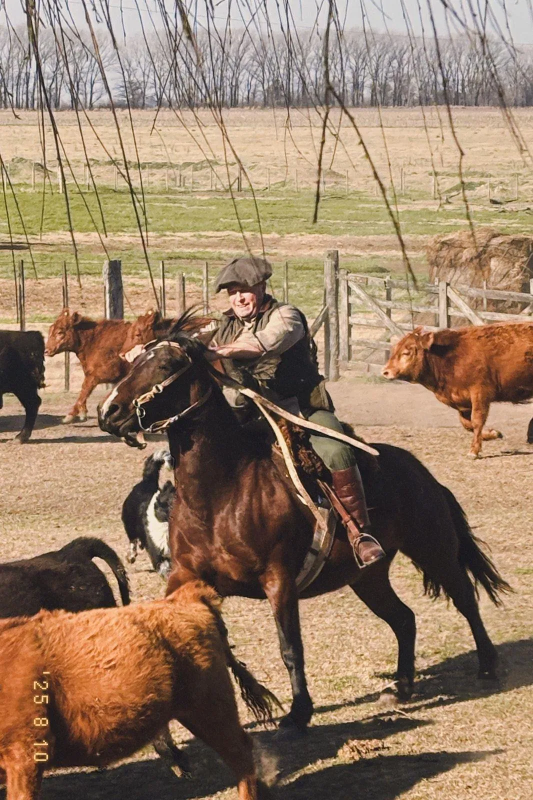 DELBERDIEL LA NONA - Imagen 2