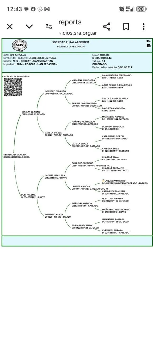 DELBERDIEL LA NONA - Imagen 4