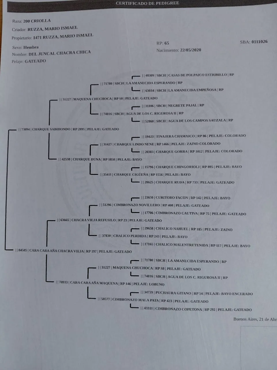 DEL JUNCAL CHACRA CHICA  - Imagen 6