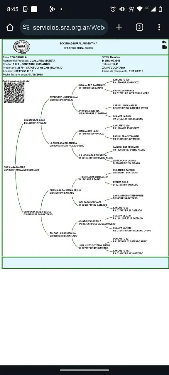 Guasuara Matera  - Imagen 4