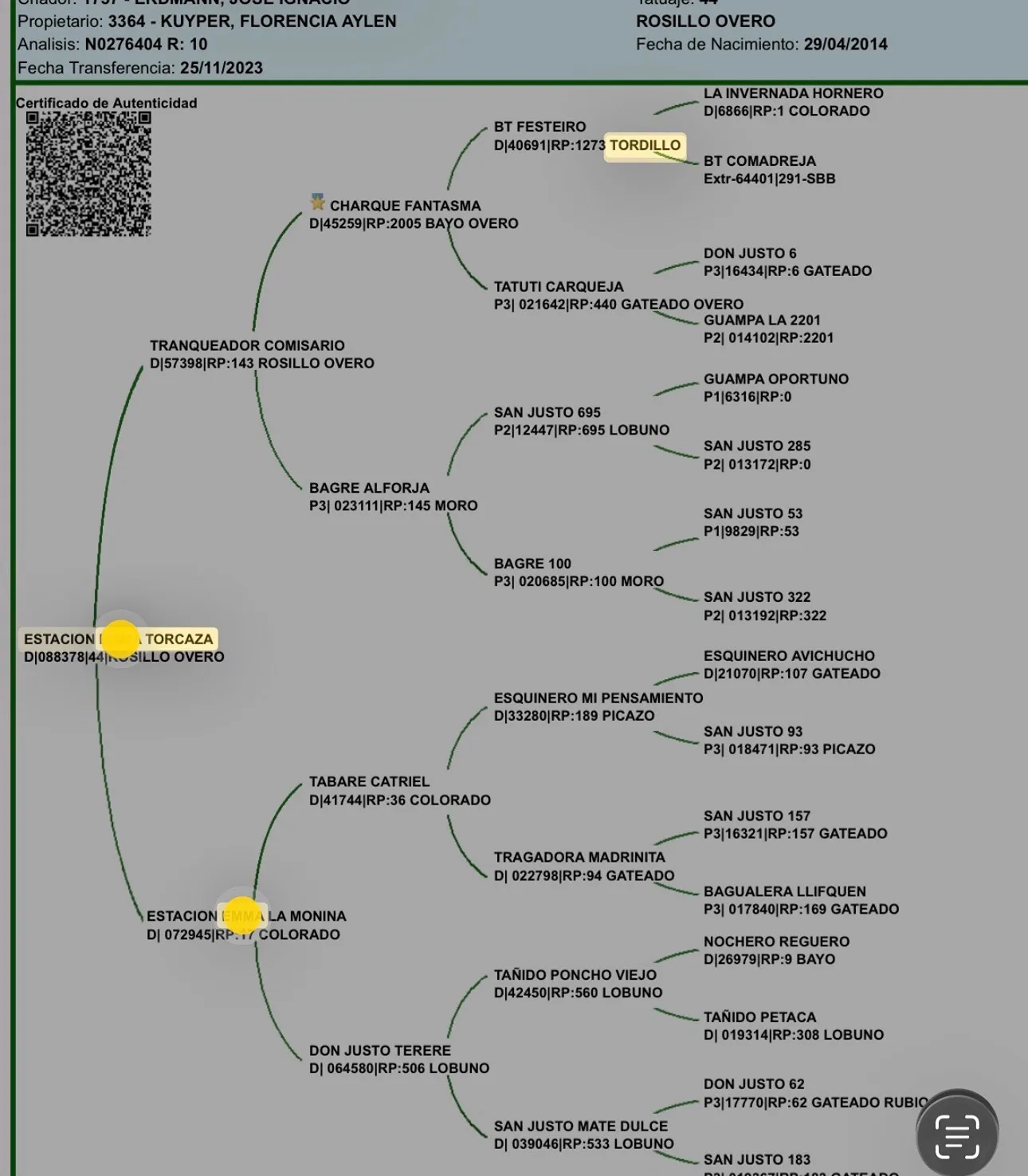 Yegua criolla pp preñada y con cría  - Imagen 8