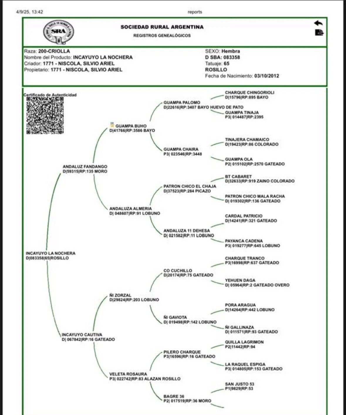 Incayuyo la nochera  - Imagen 4