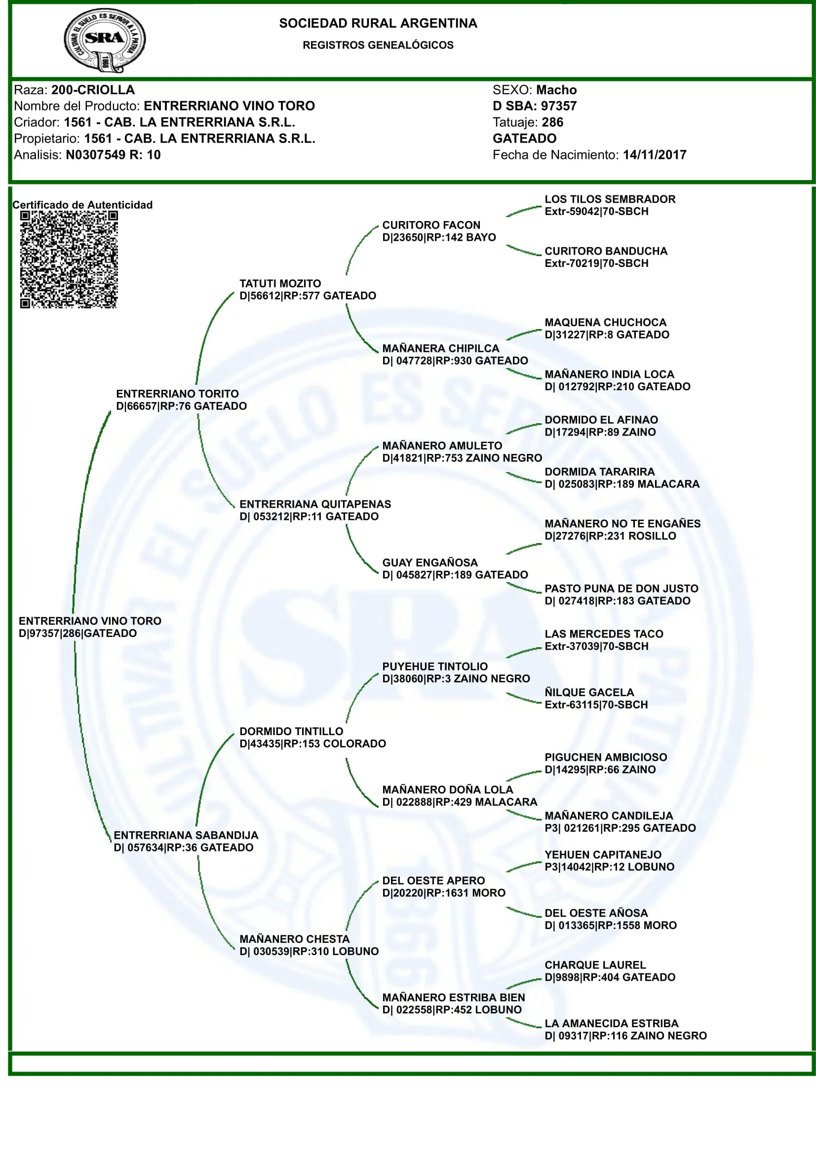 ENTRERRIANO VINO TORO